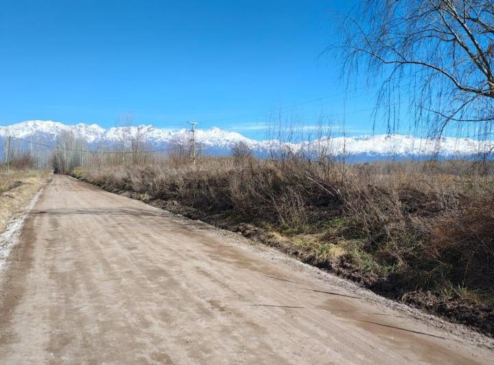 Campo · 50000m²