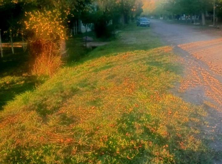 Terreno · 600m²
