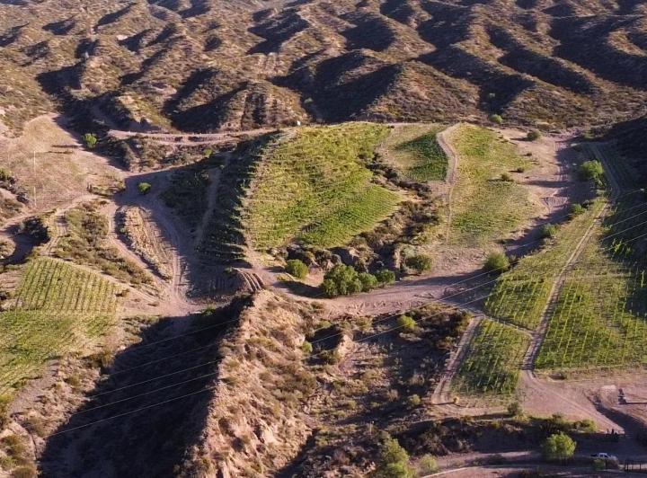 Campo · 820m²