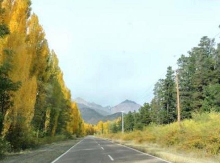 Campo · 500ha