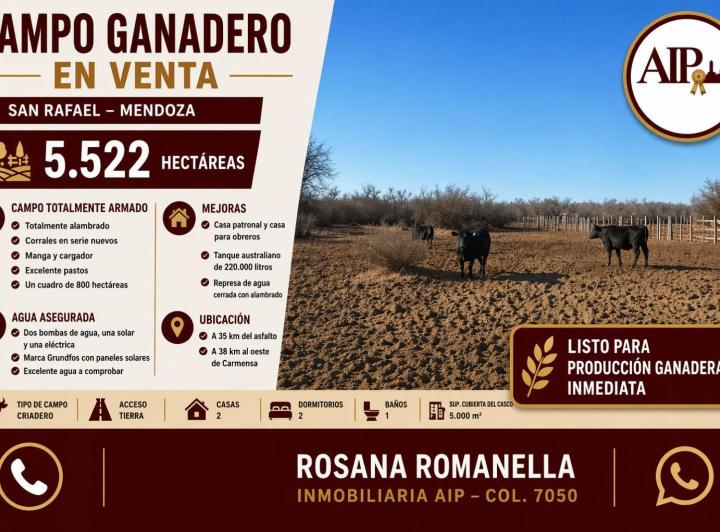 Campo · 4 Ambientes