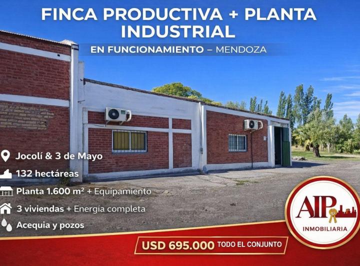 Campo