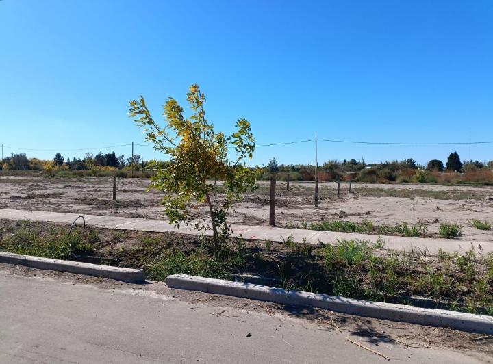 Terreno · 200m²