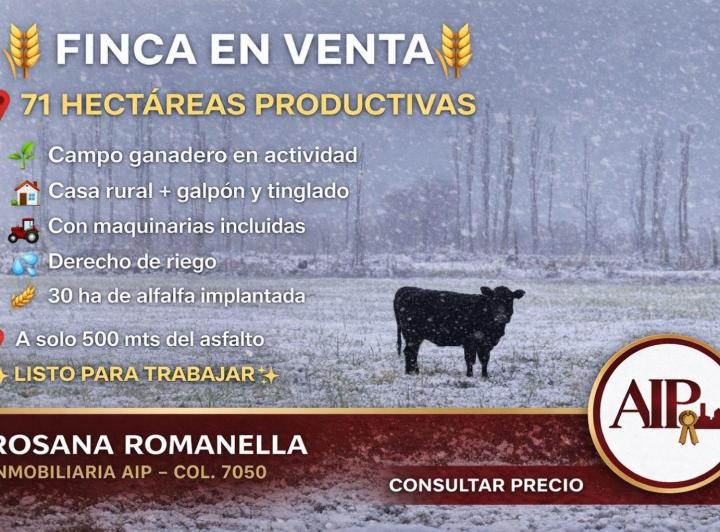 Campo · 3 Dormitorios