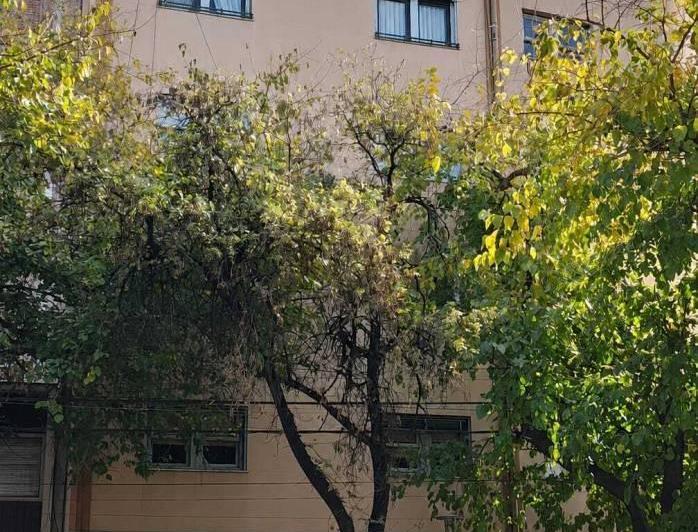 Departamento · 93m² · 3 Dormitorios