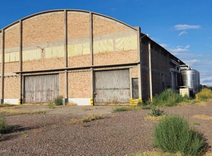 Bodega-Galpón · 20000ha