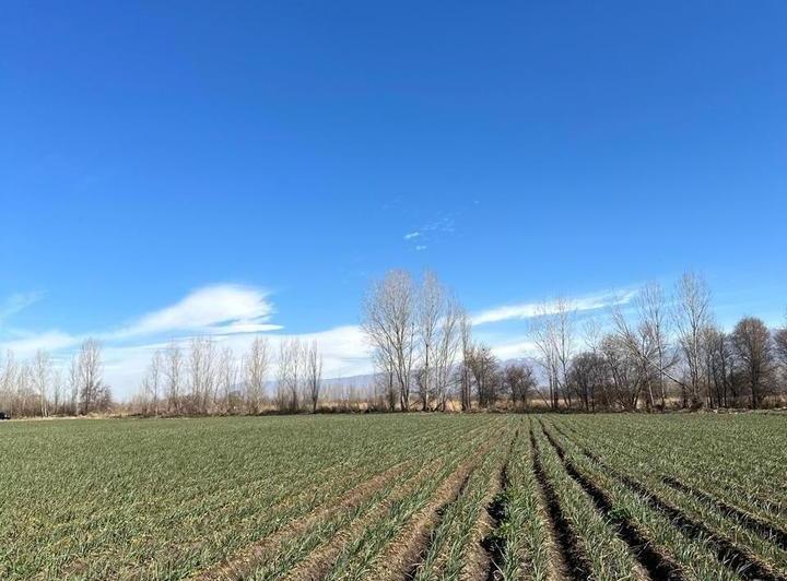 Terreno · 75000m²