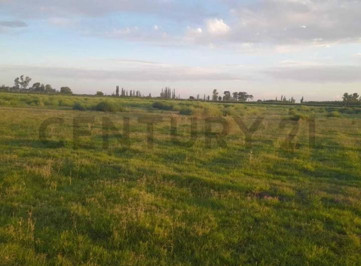 Terreno · 1000m²