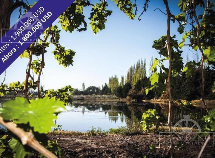 Campo · 820000m² · 1 Ambiente