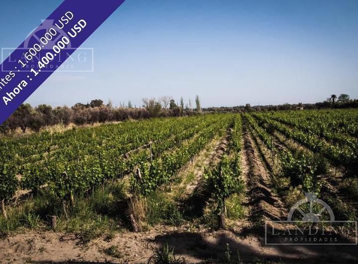 Campo · 600000m² · 4 Ambientes