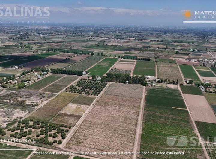 Campo · 140000m²