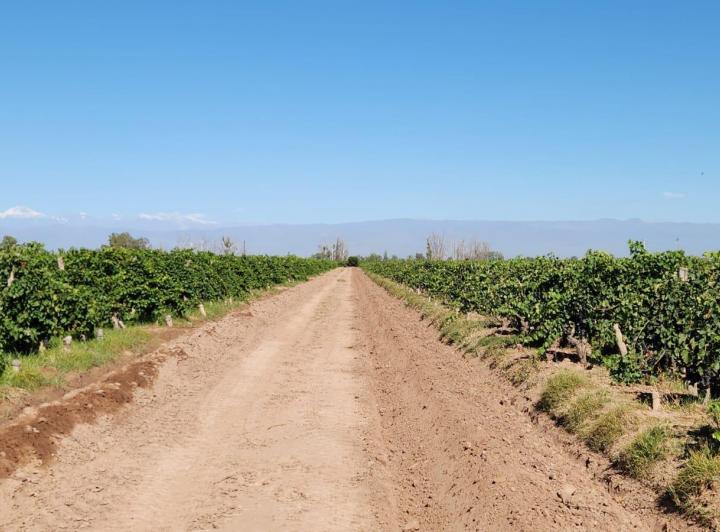 Campo · 1m²
