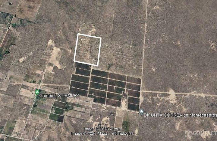 Campo · 77000ha