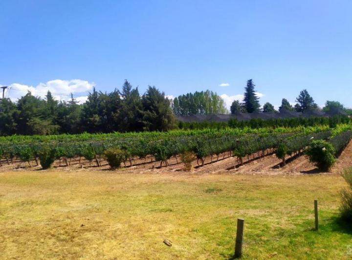 Campo · 1700000ha