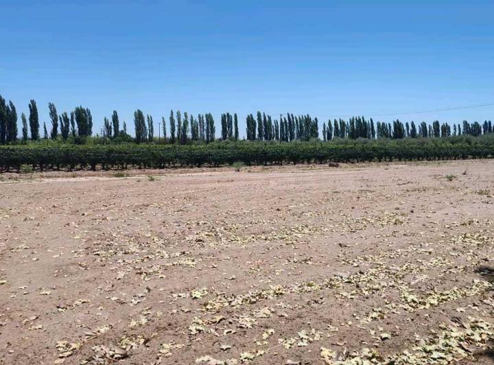 Terreno · 8760m²