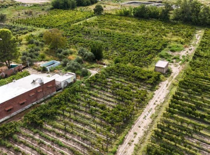 Campo · 5m²