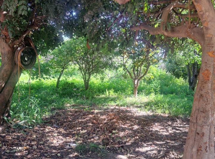 Quinta vacacional · 30000m²