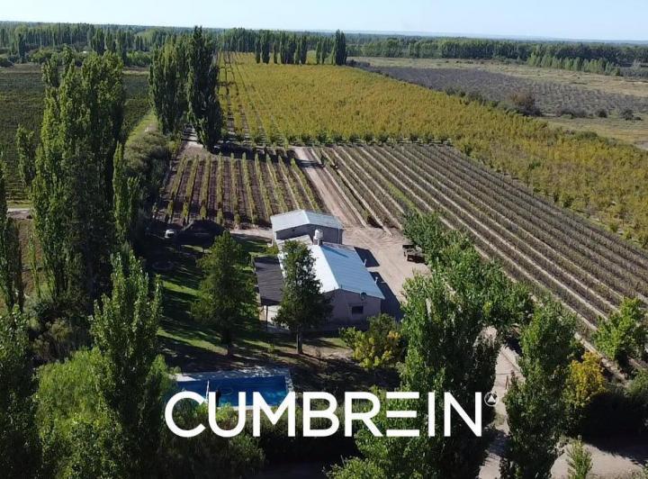 Campo · 80000m² · 3 Ambientes