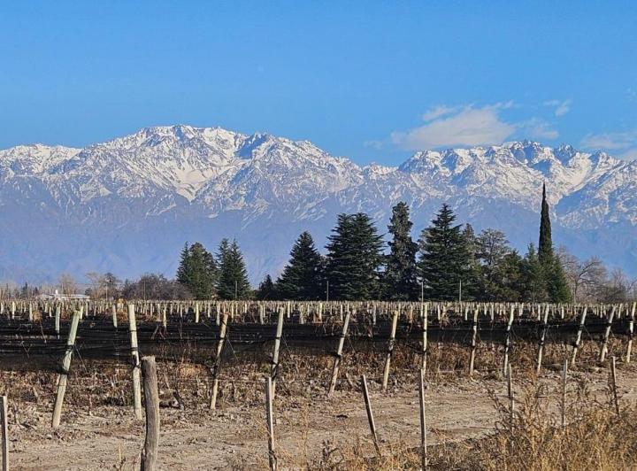 Campo · 130000ha
