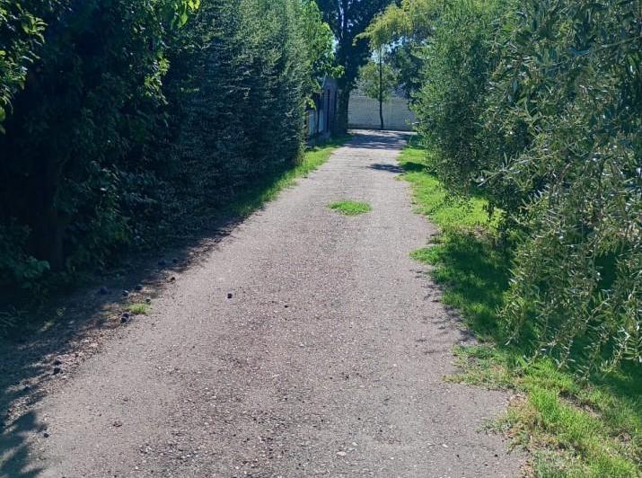 Local comercial · 2000m²