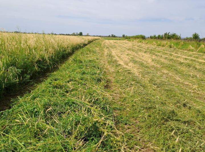 Campo · 400000m²