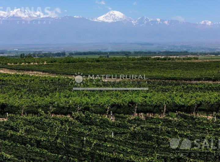 Campo · 2090000m²