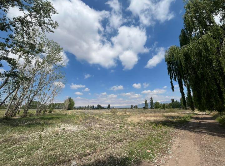 Campo · 8ha