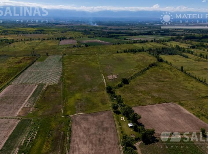 Campo · 730000m²