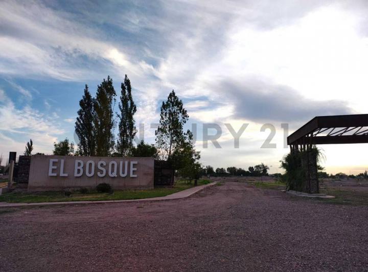 Terreno · 300m²