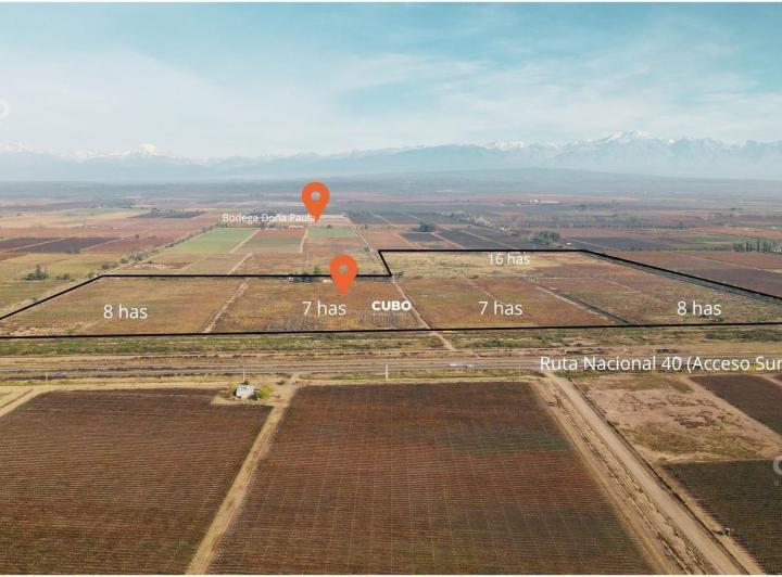 Campo · 250m²