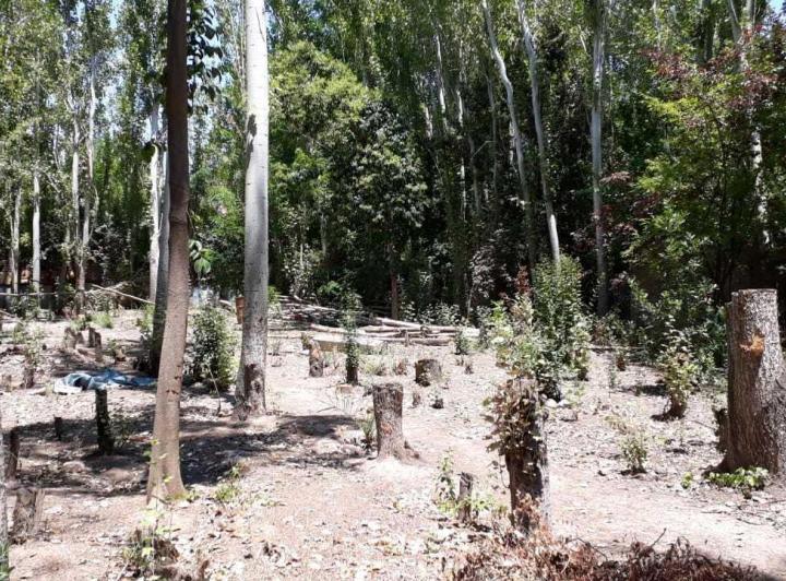 Terreno · 909m²