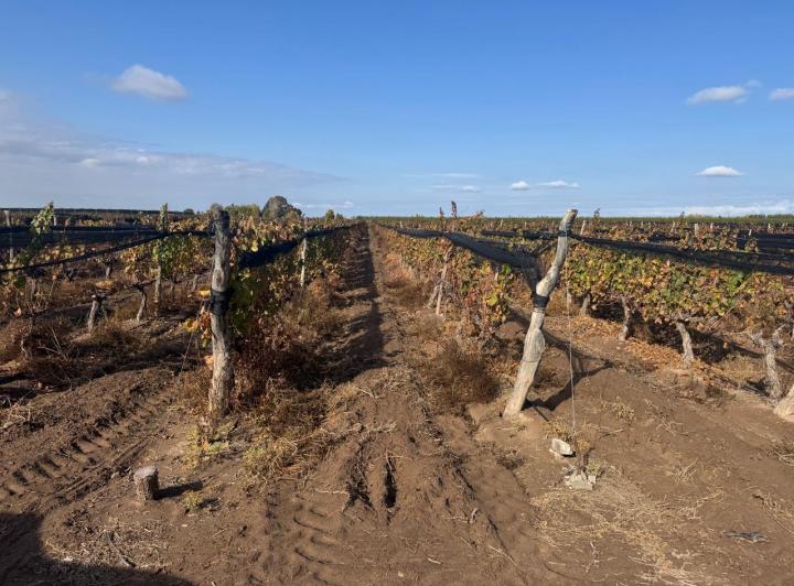 Campo · 510000m²