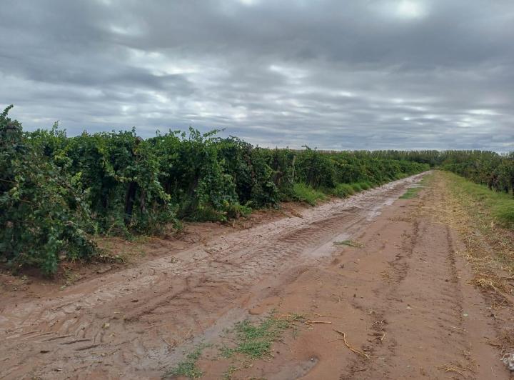Terreno · 100m² · 4 Ambientes · 5 Cocheras
