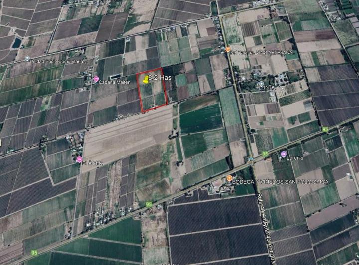 Campo · 8ha