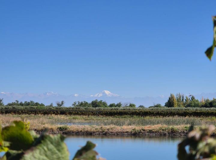 Campo · 500m²