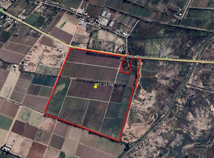 Campo · 37ha