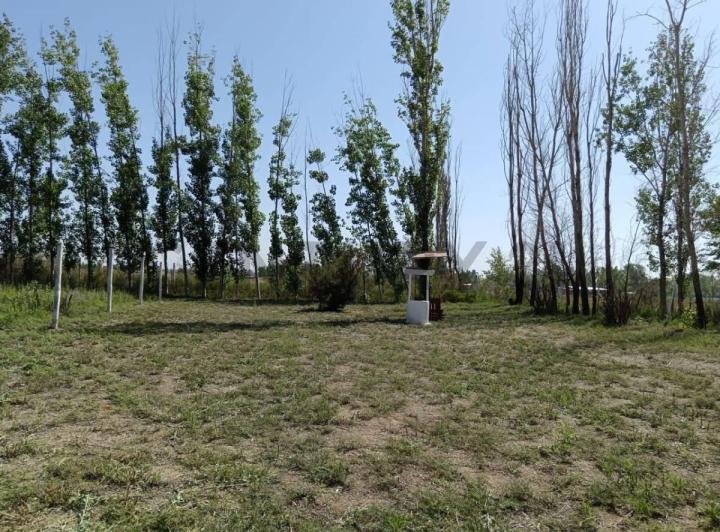 Terreno · 1000m²
