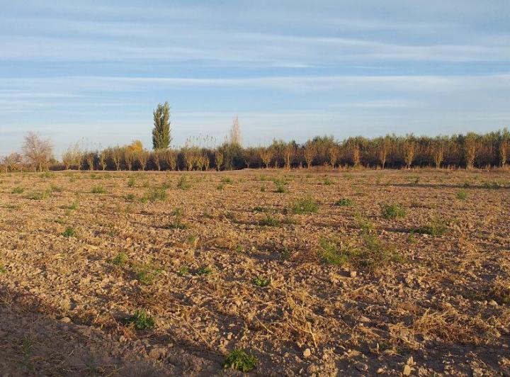 Terreno · 6284m²