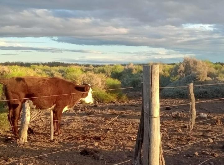 Terreno · 210m² · 4 Ambientes · 1 Cochera