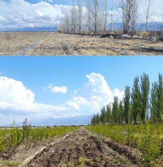 Campo · 500000m²