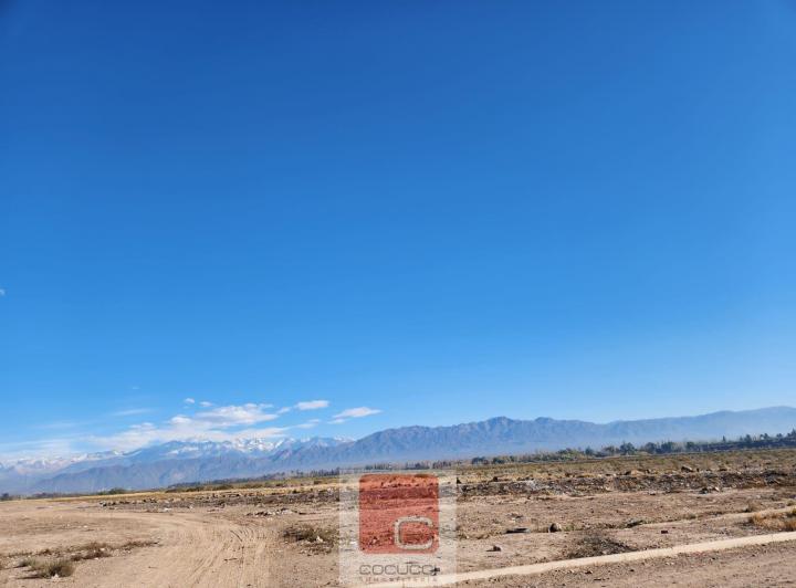 Campo