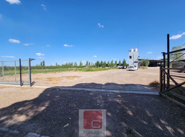 Campo · 1250m²