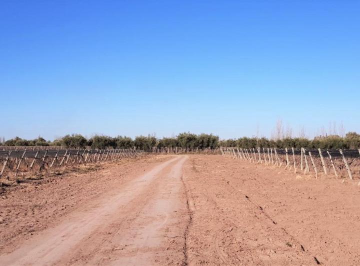 Campo · 180m²