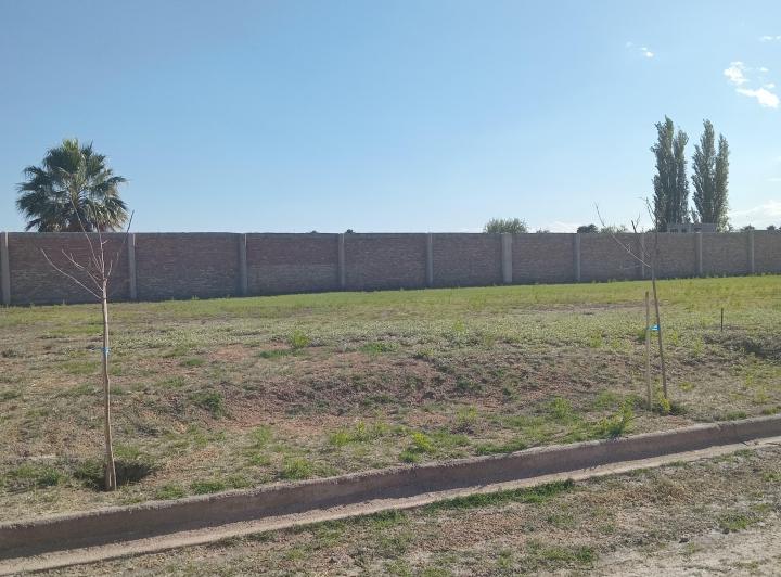 Terreno · 299m²