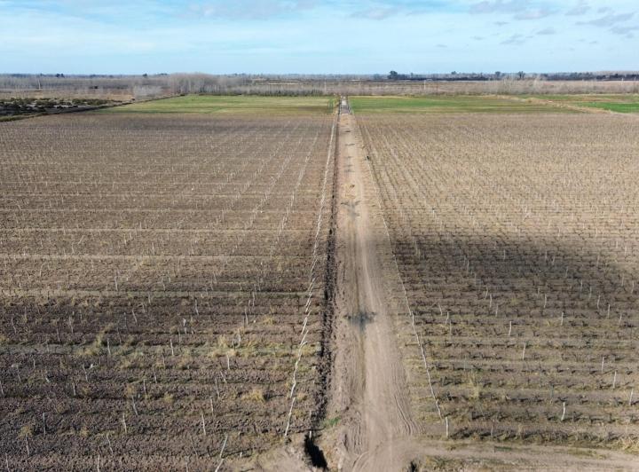Terreno · 70ha