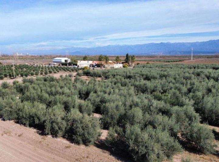 Bodega-Galpón · 856m²