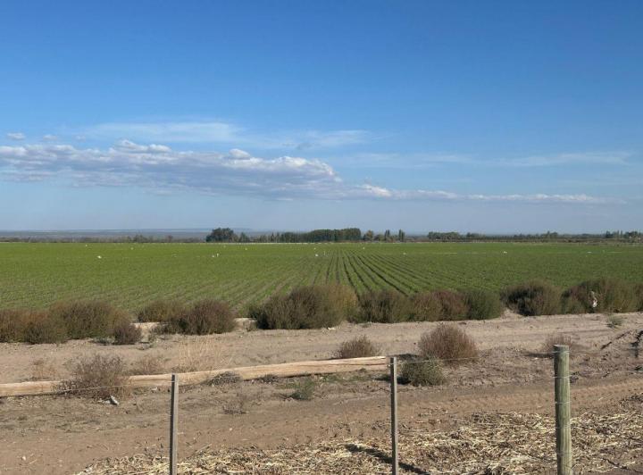 Campo · 93m²