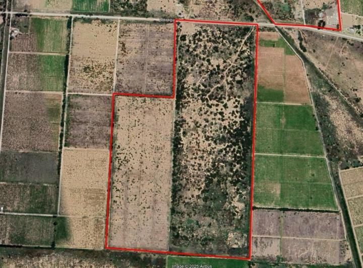 Campo · 44m²