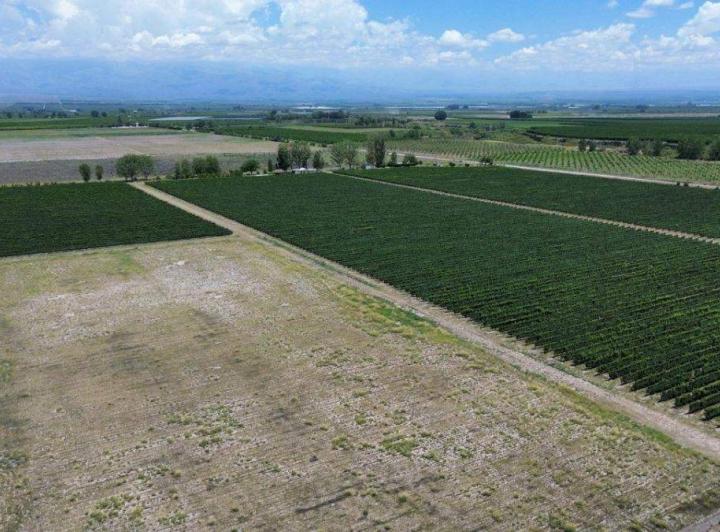Campo · 24m²