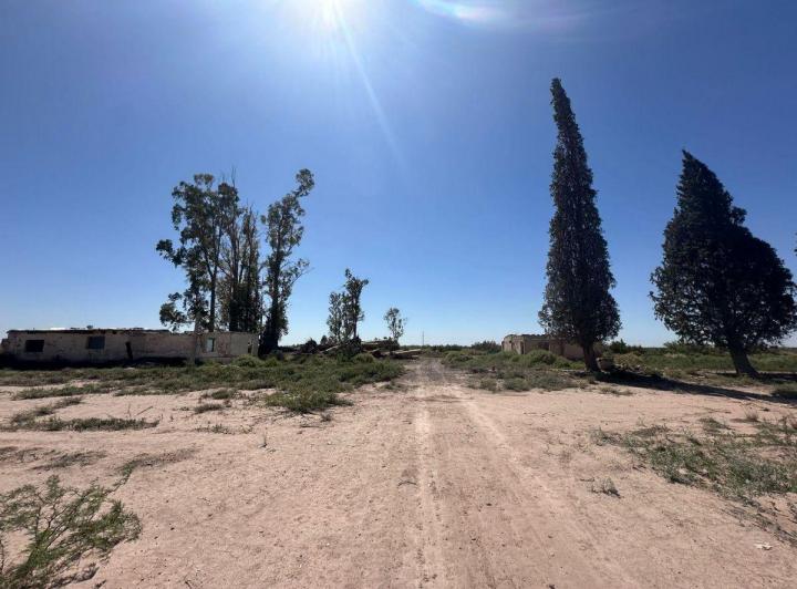 Campo · 63m²